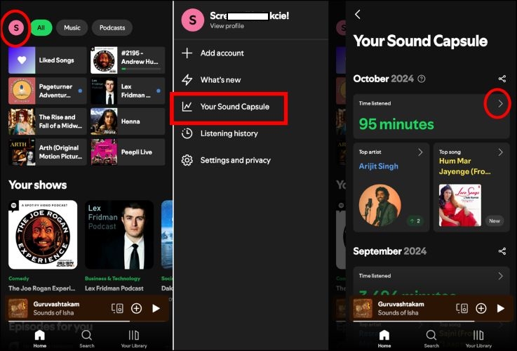 Sound Capsule | Spotify Receiptify auf Deutsch
